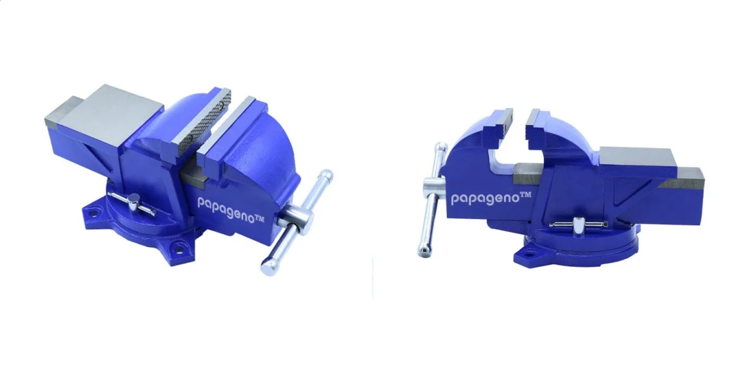 Large Diameter Light Duty Gn-Tq189 Swivel Base Bench Vise with Anvil